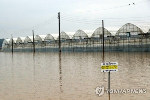 '벼는 안 보이고'
