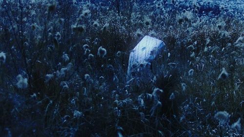 '다섯번째 흉추'의 한 장면