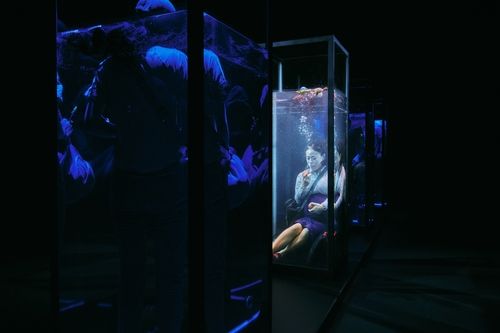 코끼리들이 웃는다 '물질'