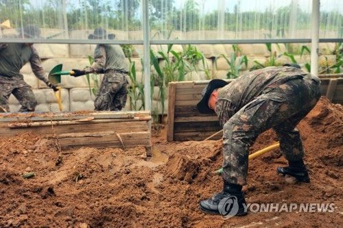 육군 31사단, 수해복구 지원