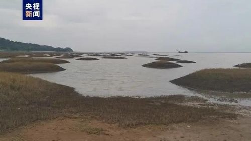 바닥 드러내기 시작한 중국 최대 담수호인 포양호