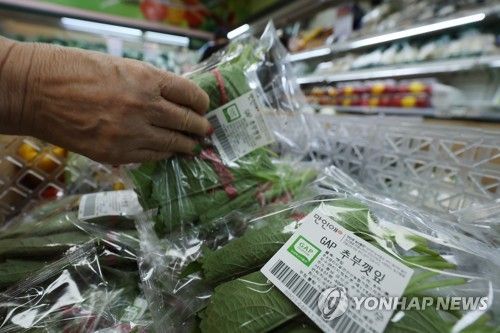 채소류 도매가 상승에 대형마트 물가도 영향