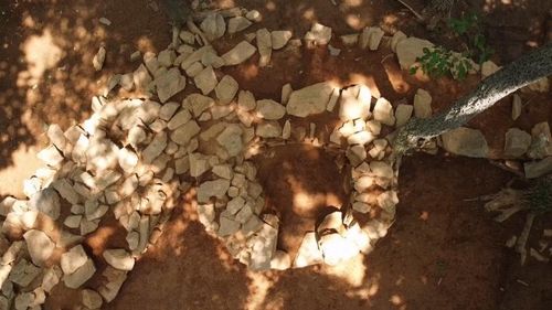 건지산 봉수터 연조 5기