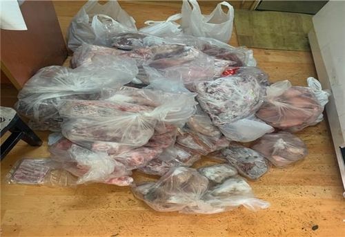 거주지에서 보관 중인 축산물 사진