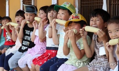 맛있는 홍천 찰옥수수