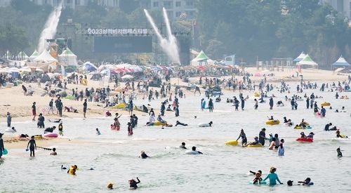 2023 삼척 비치 썸 페스티벌
