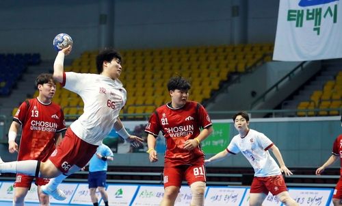 태백에서 열린 핸드볼대회