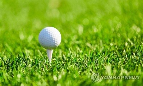 골프