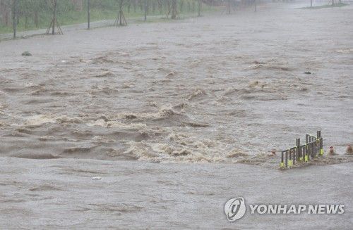 불어나는 팔거천