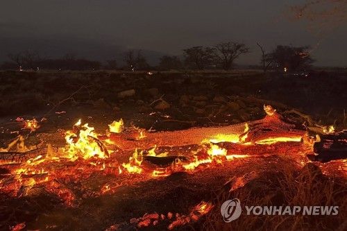 마우이 산불 [AP=연합뉴스]
