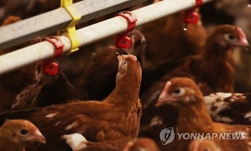 물로 더위 식히기