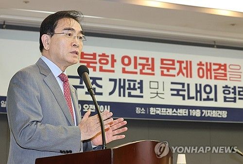 북한 인권 세미나 개회사 하는 태영호 의원