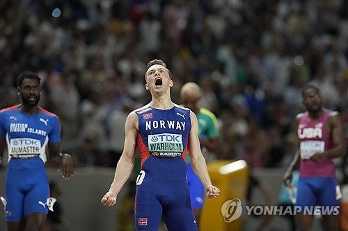 포효하는 바르홀름