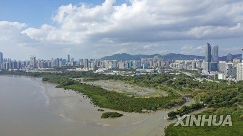 중국 광둥성 선전시 푸톈 지역