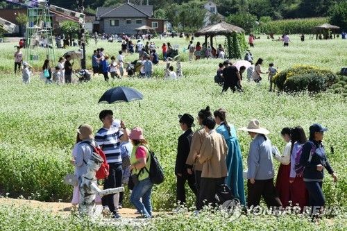 평창 효석문화제