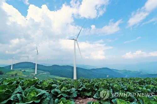 매봉산 바람의 언덕