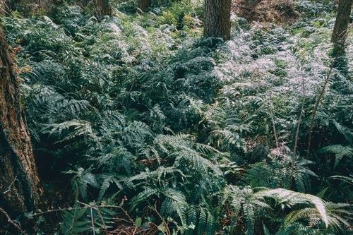 제주올레 14-1코스