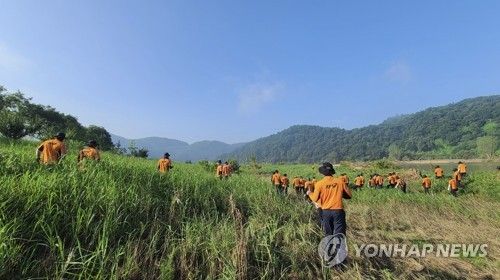 예천 실종 20일째