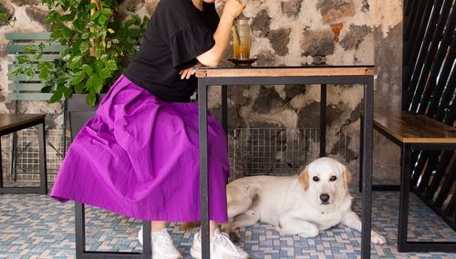 반려견동반카페