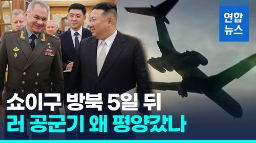 [영상] "쇼이구 김정은 만나 '탄약 팔라' 했다"…5일 뒤 러 공군기가? - 2
