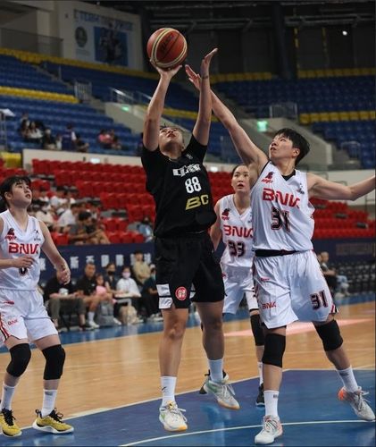 블록을 시도하는 진안