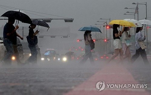 도로를 뒤덮는 소나기