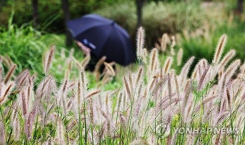 부슬부슬 내리는 가을비