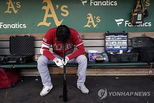 오타니 쇼헤이