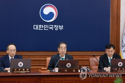 한덕수 총리, 국무회의 발언