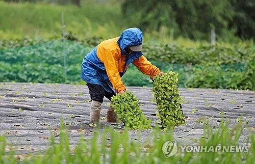 비도 못 막는 농심