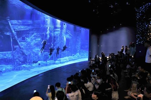 아쿠아리움 메인수조