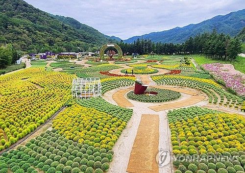 인제 가을꽃 축제 D-1
