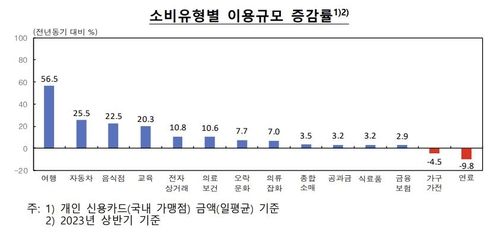 소비유형별 이용규모 증감률
