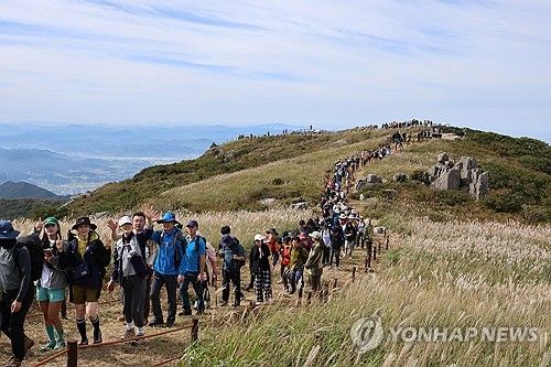 '가자 정상으로'