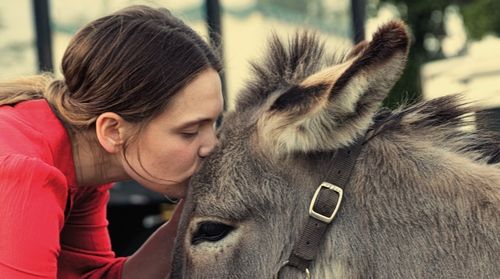 영화 '당나귀 EO' 속 한 장면