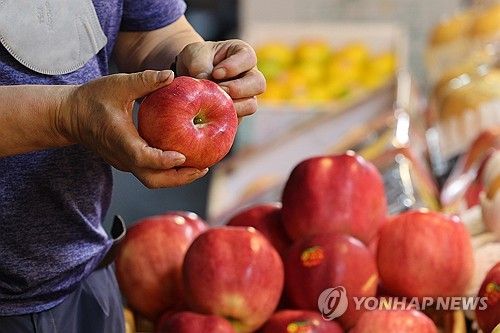 추석 차례상 사과값 약 33% 상승