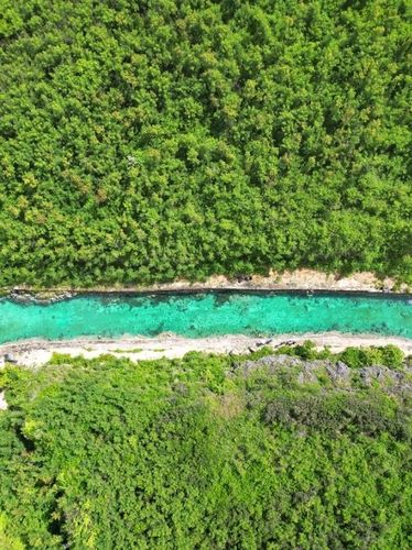 푸른 숲과 에메랄드 빛 수로 [사진/성연재 기자] 