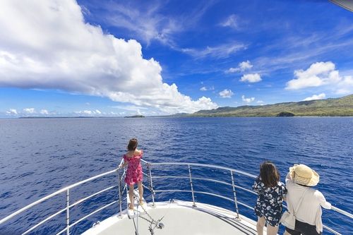 푸른 바다와 함께하는 돌핀 크루즈 [사진/성연재 기자] 