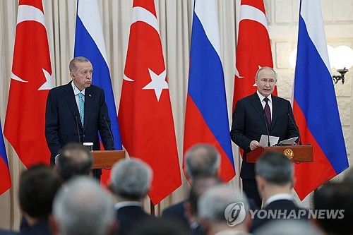 기자회견하는 푸틴과 에르도안