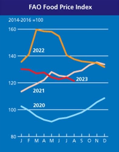 연도별 식량가격지수