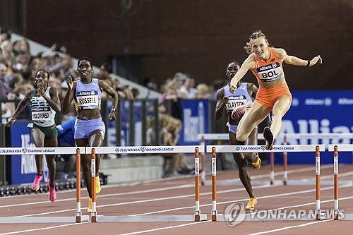 펨키 볼의 역주