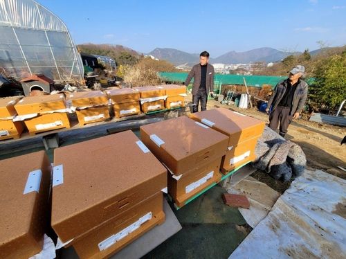 양봉농가 꿀벌 사육상태 점검