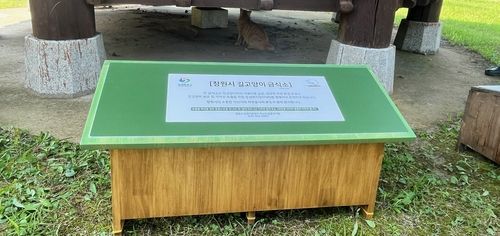 길고양이 공공급식소