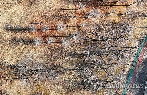 포근한 날씨에 산책하는 시민들