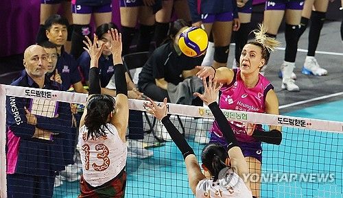 옐레나 스파이크