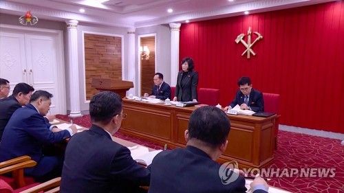 전원회의 부문별회의 지도하는 북한 당·정간부들