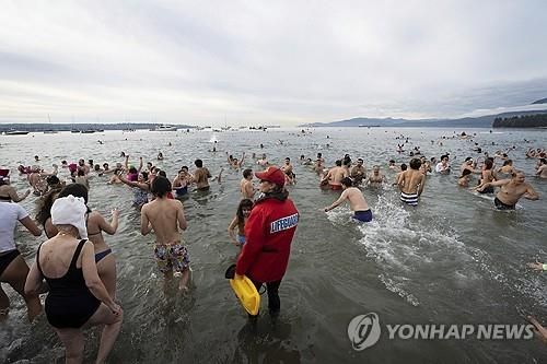 밴쿠버 도심 해변에서 열린 북극곰 수영대회 [AP=연합뉴스]