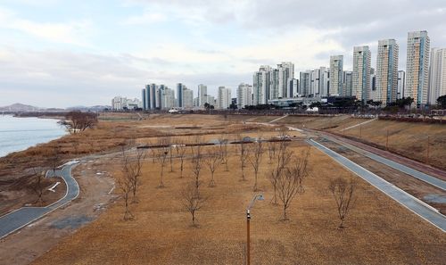 내달 완공하는 금강 다목적 잔디광장