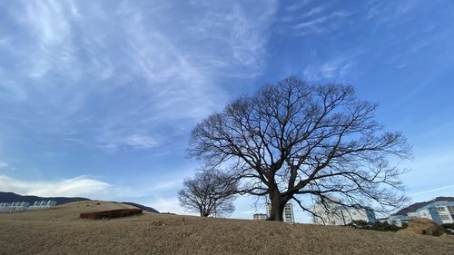 세계유산 등재된 김해대성고분군 