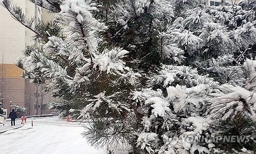 춘천에 내리는 눈